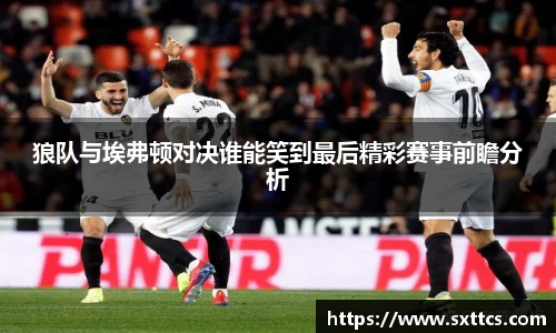 狼队与埃弗顿对决谁能笑到最后精彩赛事前瞻分析