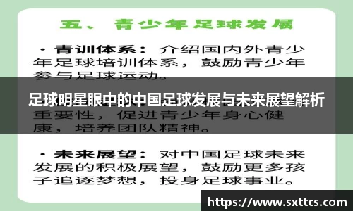 足球明星眼中的中国足球发展与未来展望解析